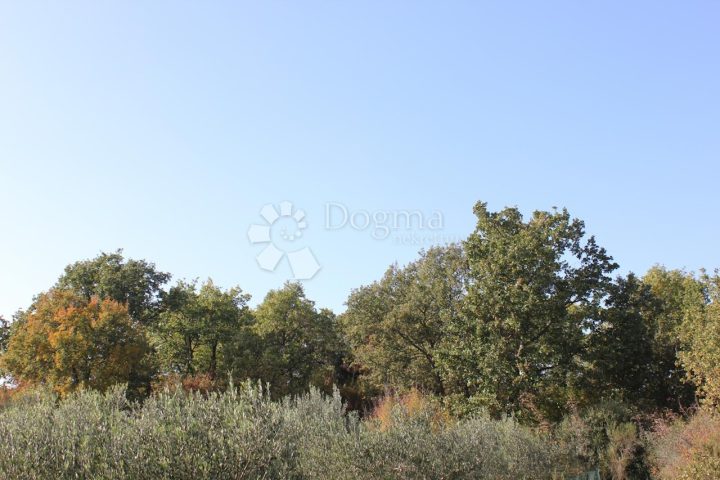Land For sale - Istarska Vodnjan - foto 2/2
