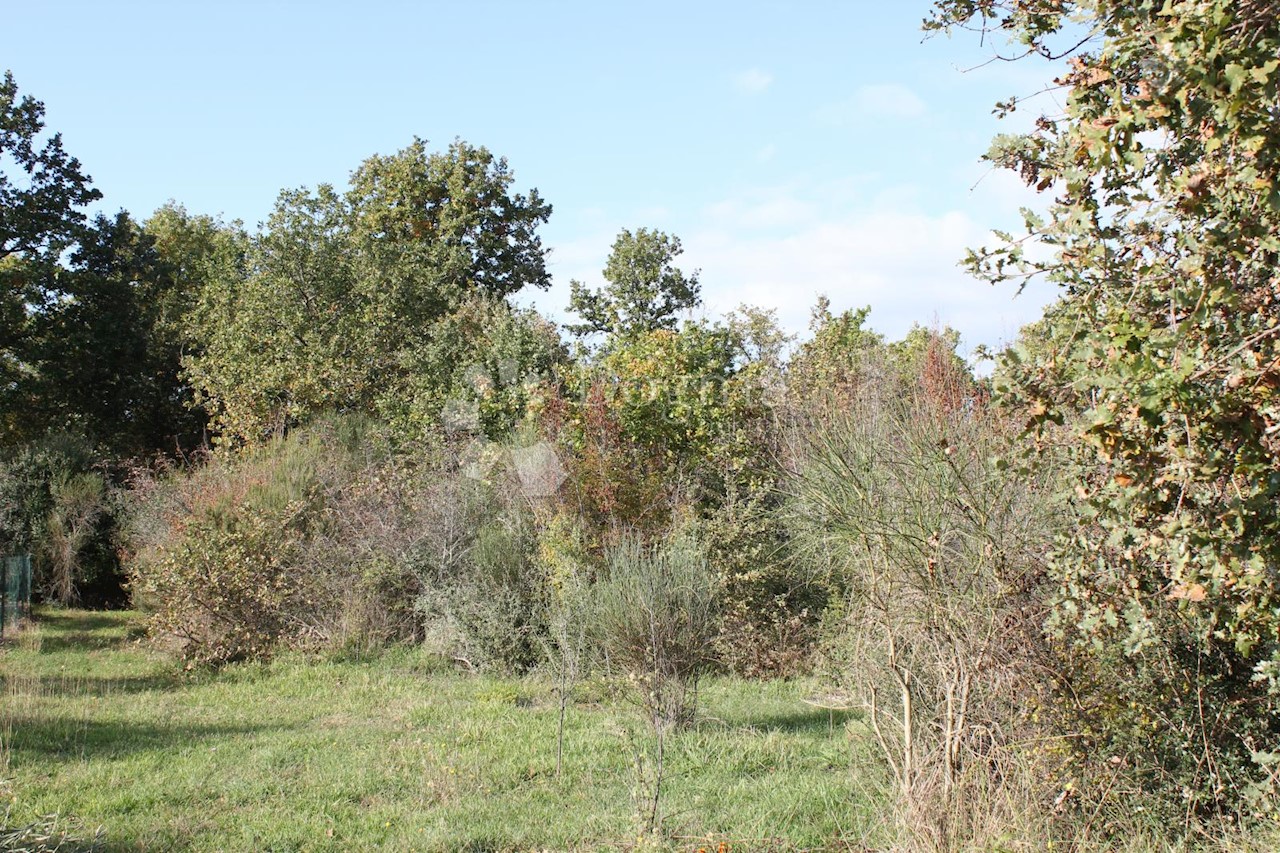 Terreno In vendita