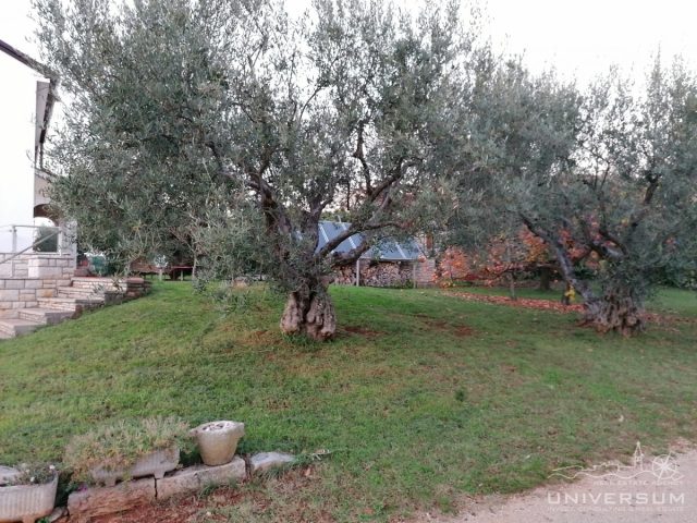 House For sale - Istarska Umag - foto 2/31