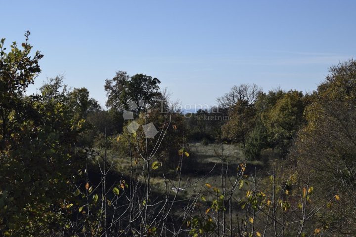 Pozemok na predaj 4219 m² – Juršići