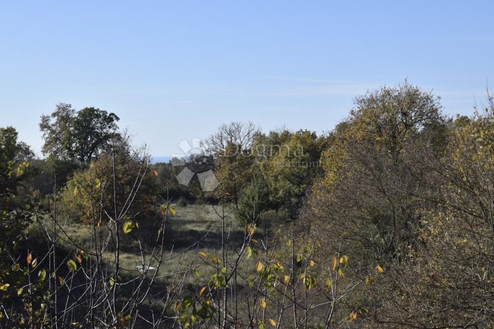 Terrain À vendre - Istarska Svetvinčenat - foto 2/4