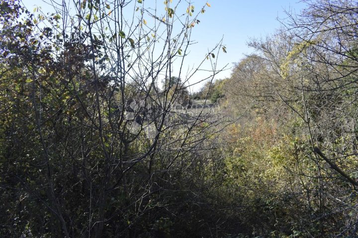 Terrain À vendre - Istarska Svetvinčenat - foto 3/4
