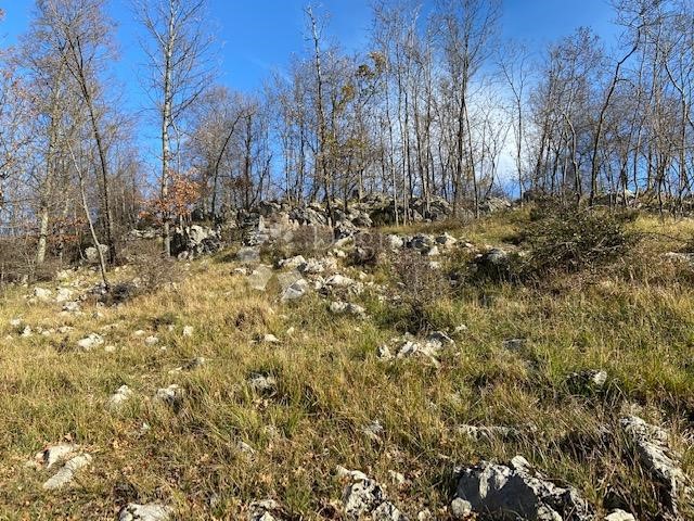 Land For sale - Primorsko-goranska Klana - foto 4/9