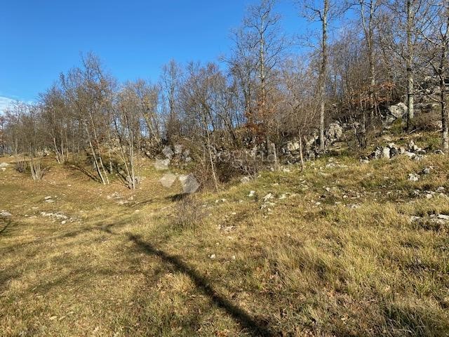 Land For sale - Primorsko-goranska Klana - foto 5/9