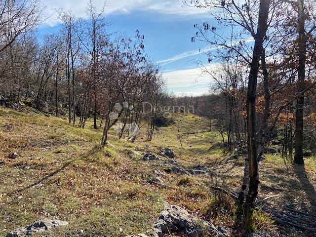 Land For sale - PRIMORSKO-GORANSKA  KLANA 