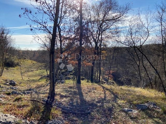 Land For sale - PRIMORSKO-GORANSKA  KLANA 