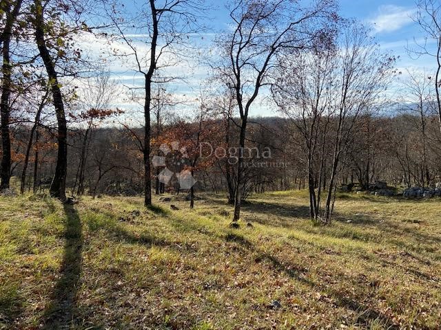 Land For sale - PRIMORSKO-GORANSKA  KLANA 