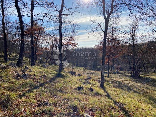 Land For sale - PRIMORSKO-GORANSKA  KLANA 