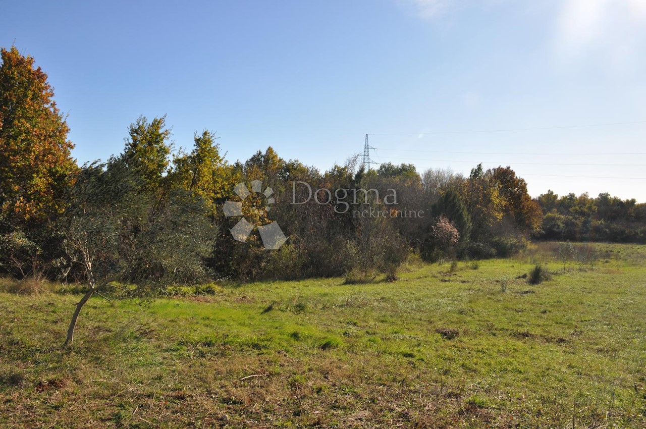 Land For sale - ISTARSKA  VODNJAN 