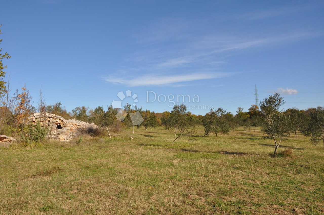 Land For sale - ISTARSKA  VODNJAN 