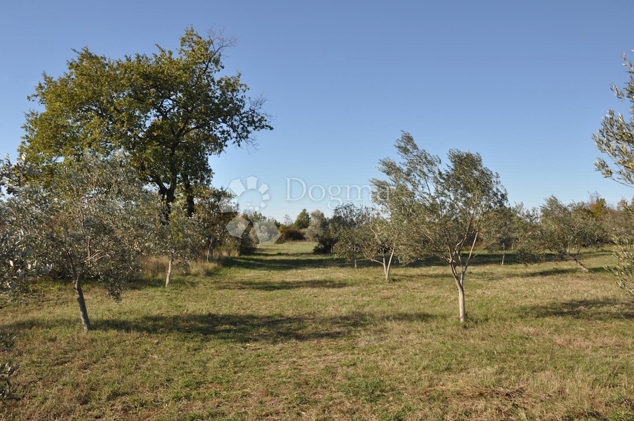 Land For sale - ISTARSKA  VODNJAN 