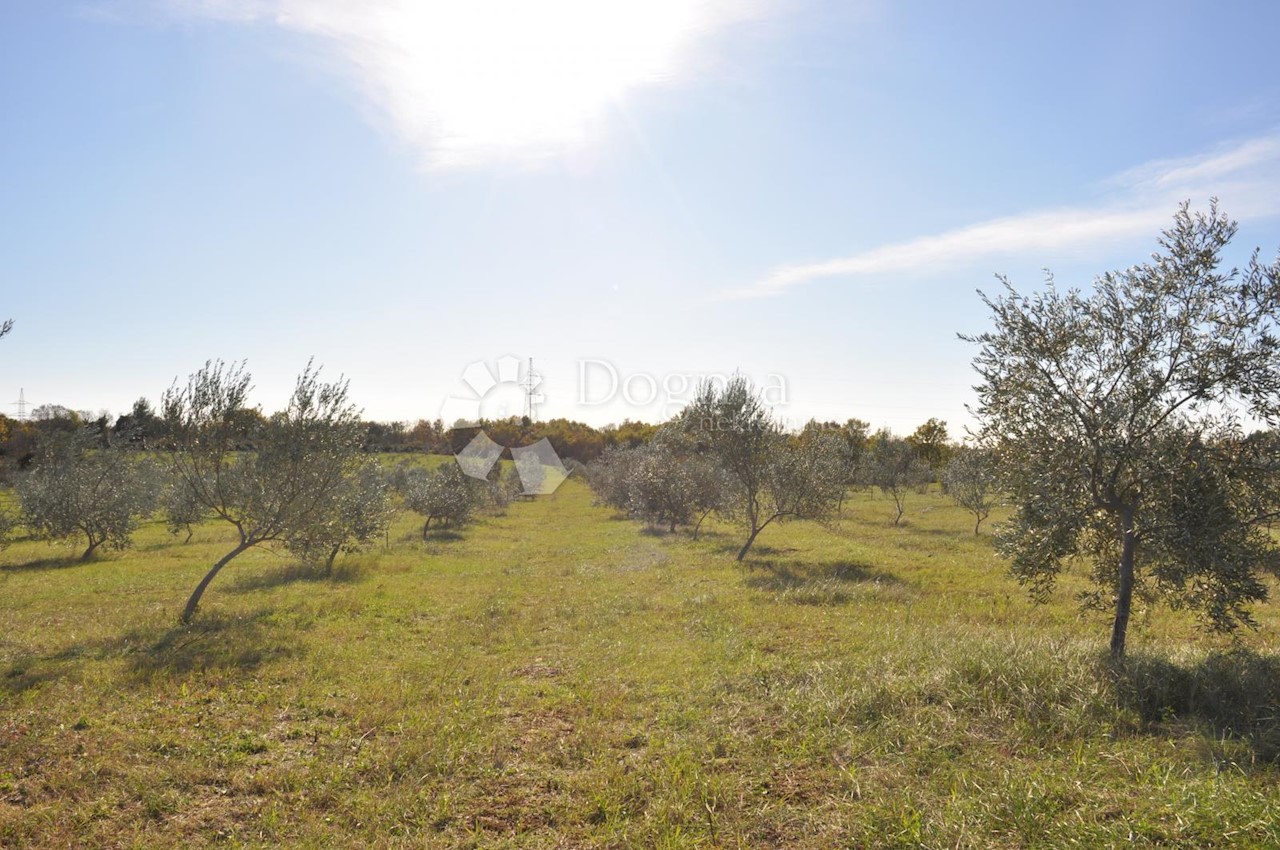 Land For sale - ISTARSKA  VODNJAN 