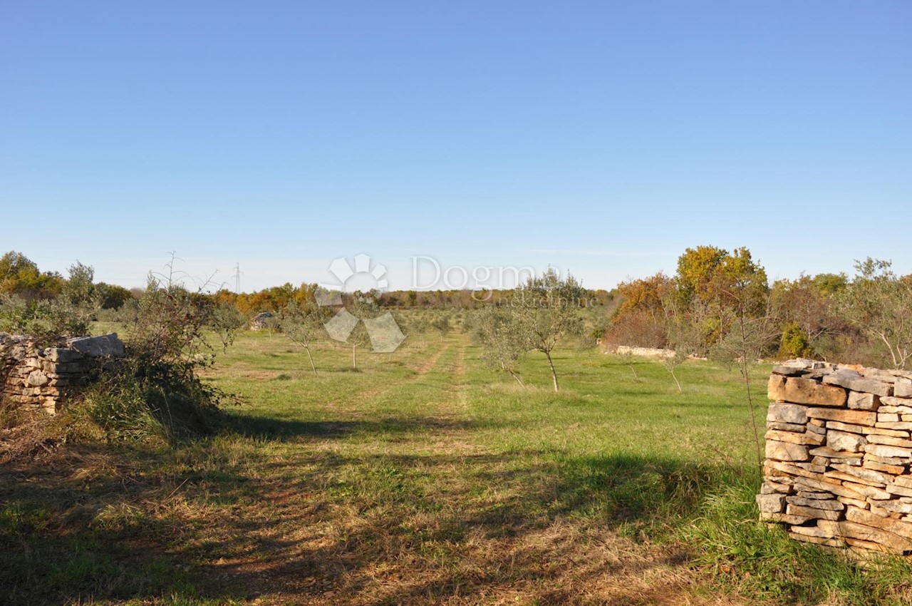 Land For sale - ISTARSKA  VODNJAN 