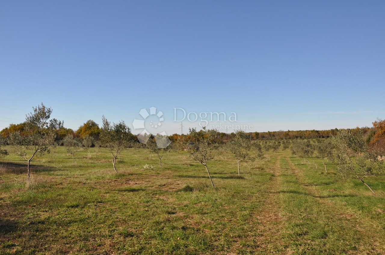 Land For sale - ISTARSKA  VODNJAN 