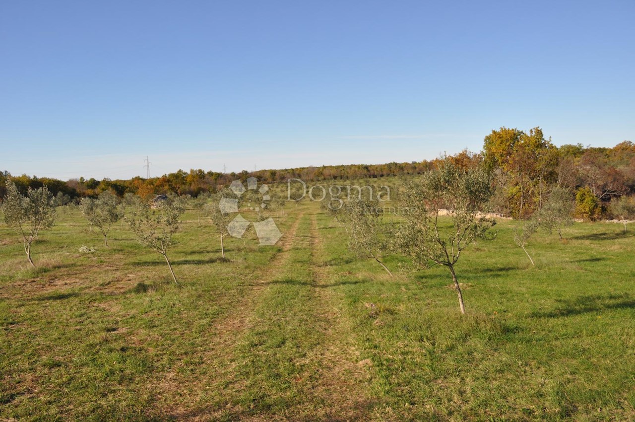 Land For sale - ISTARSKA  VODNJAN 