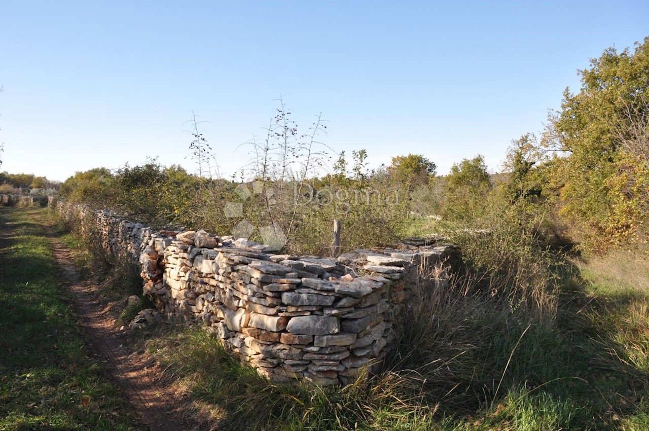 Terreno In vendita - ISTARSKA  VODNJAN 