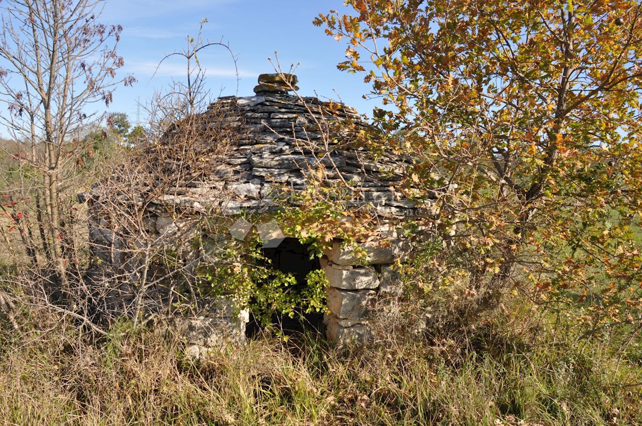 Terreno In vendita - ISTARSKA  VODNJAN 