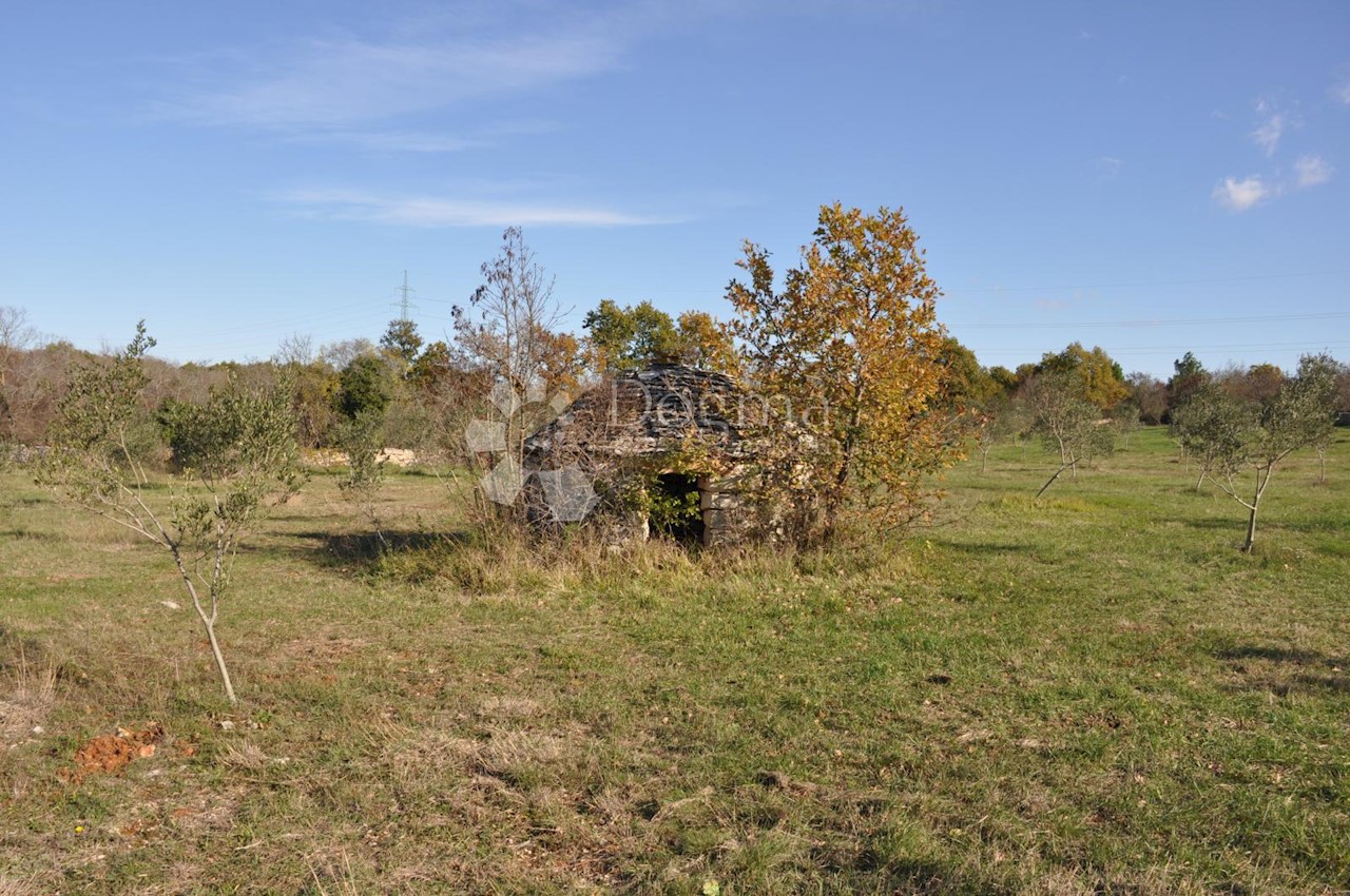 Terreno In vendita - ISTARSKA  VODNJAN 