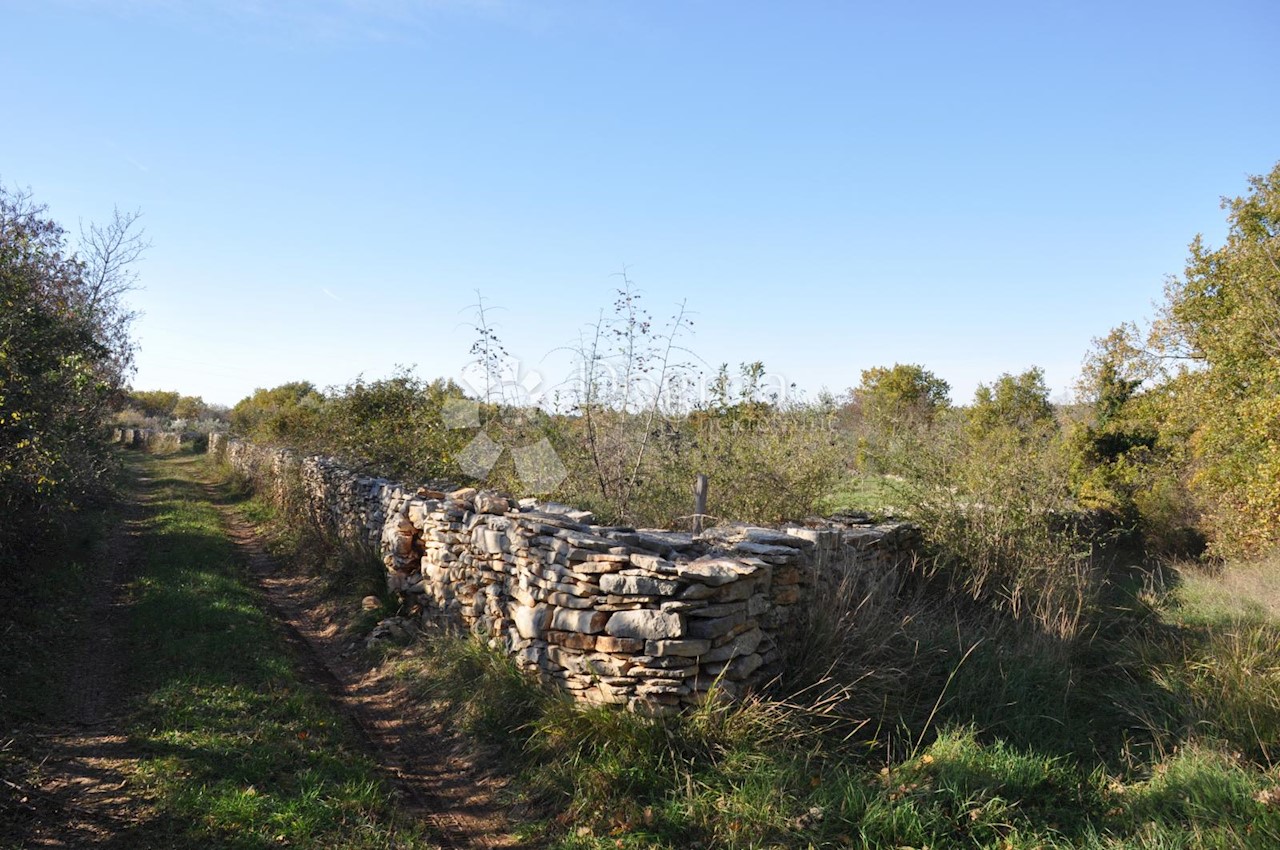 Terreno In vendita - ISTARSKA  VODNJAN 