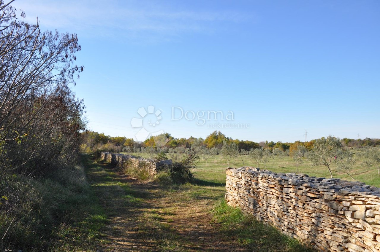 Terreno In vendita - ISTARSKA  VODNJAN 