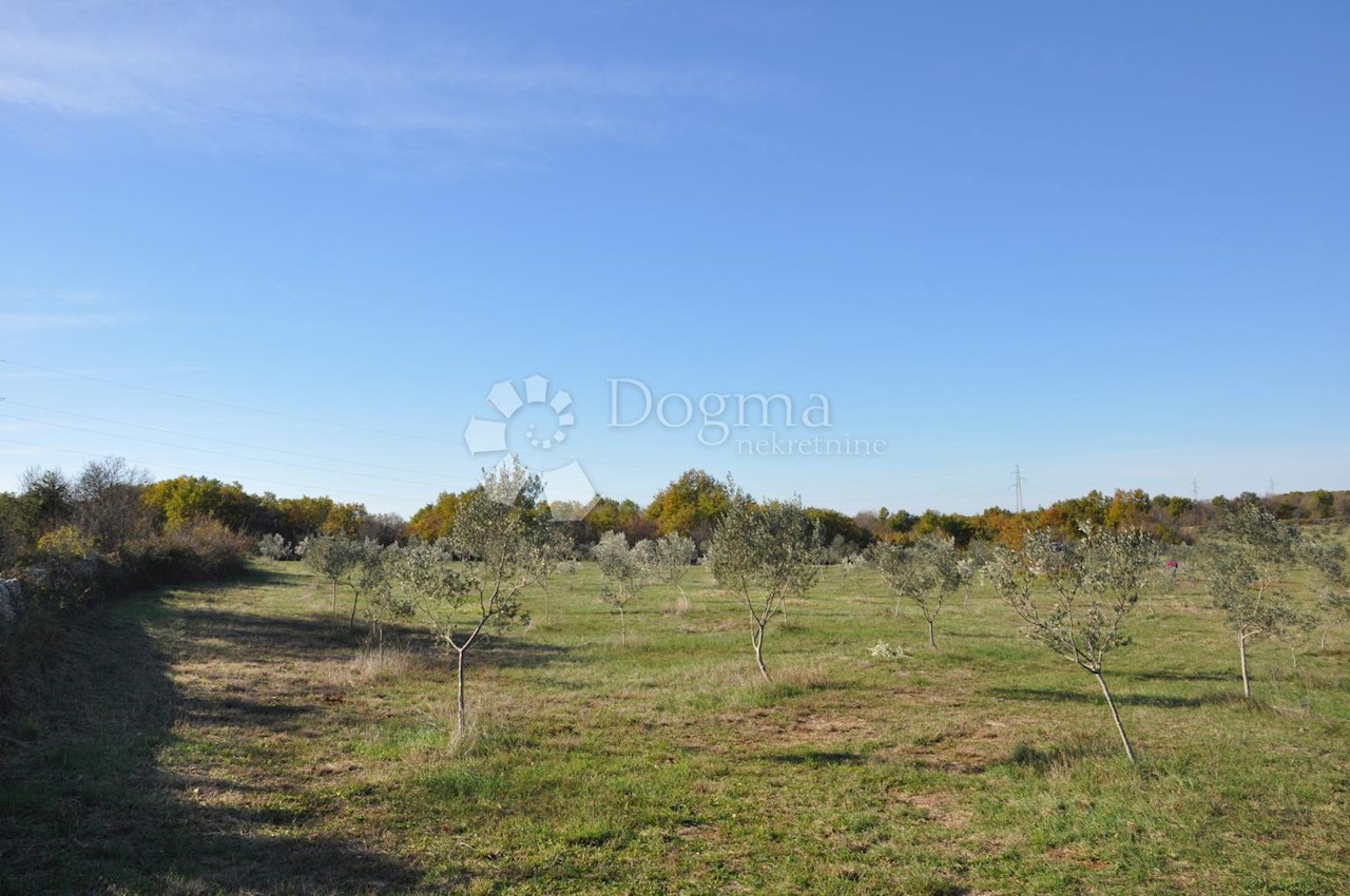 Land For sale - ISTARSKA  VODNJAN 