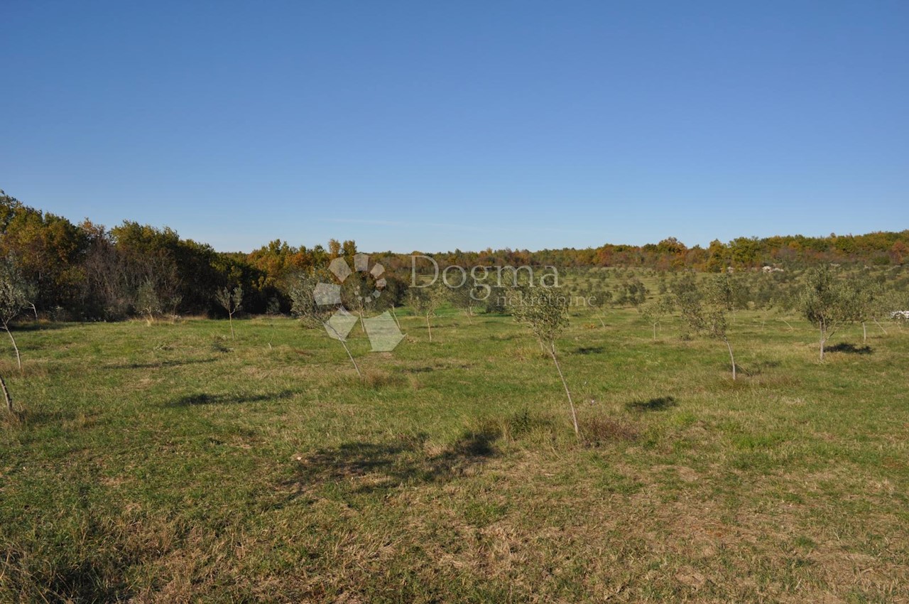 Terreno In vendita - ISTARSKA  VODNJAN 