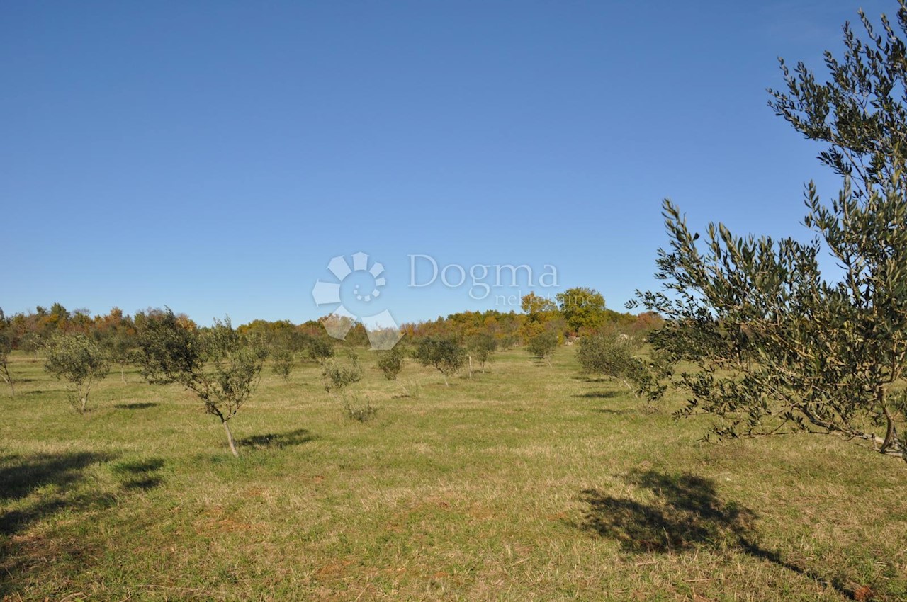 Land For sale - ISTARSKA  VODNJAN 