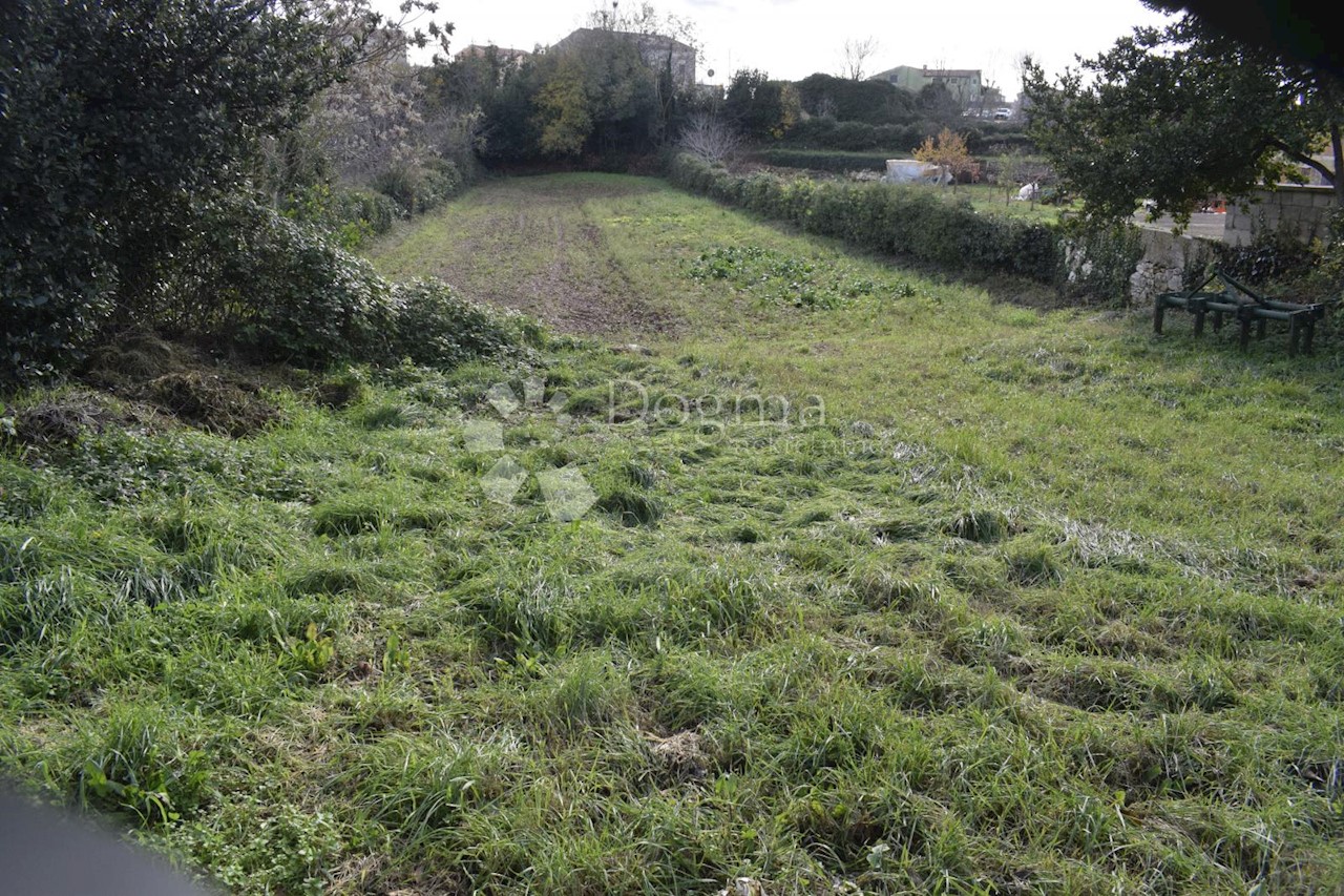 Terrain À vendre - ISTARSKA  Vodnjan