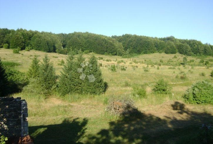 Land For sale - LIČKO-SENJSKA  PLITVIČKA JEZERA 