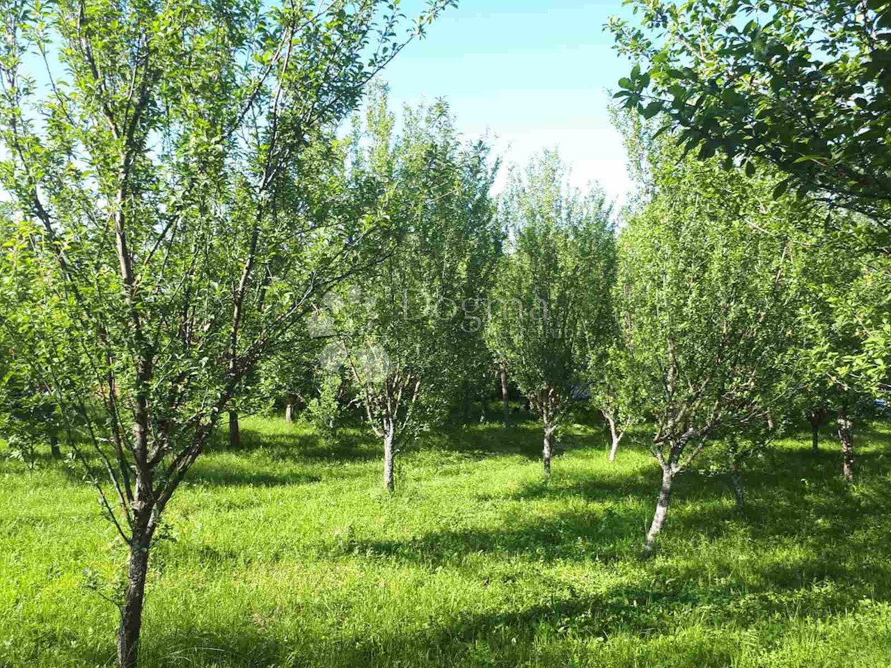 Dom Na predaj - OSJEČKO-BARANJSKA  NAŠICE 