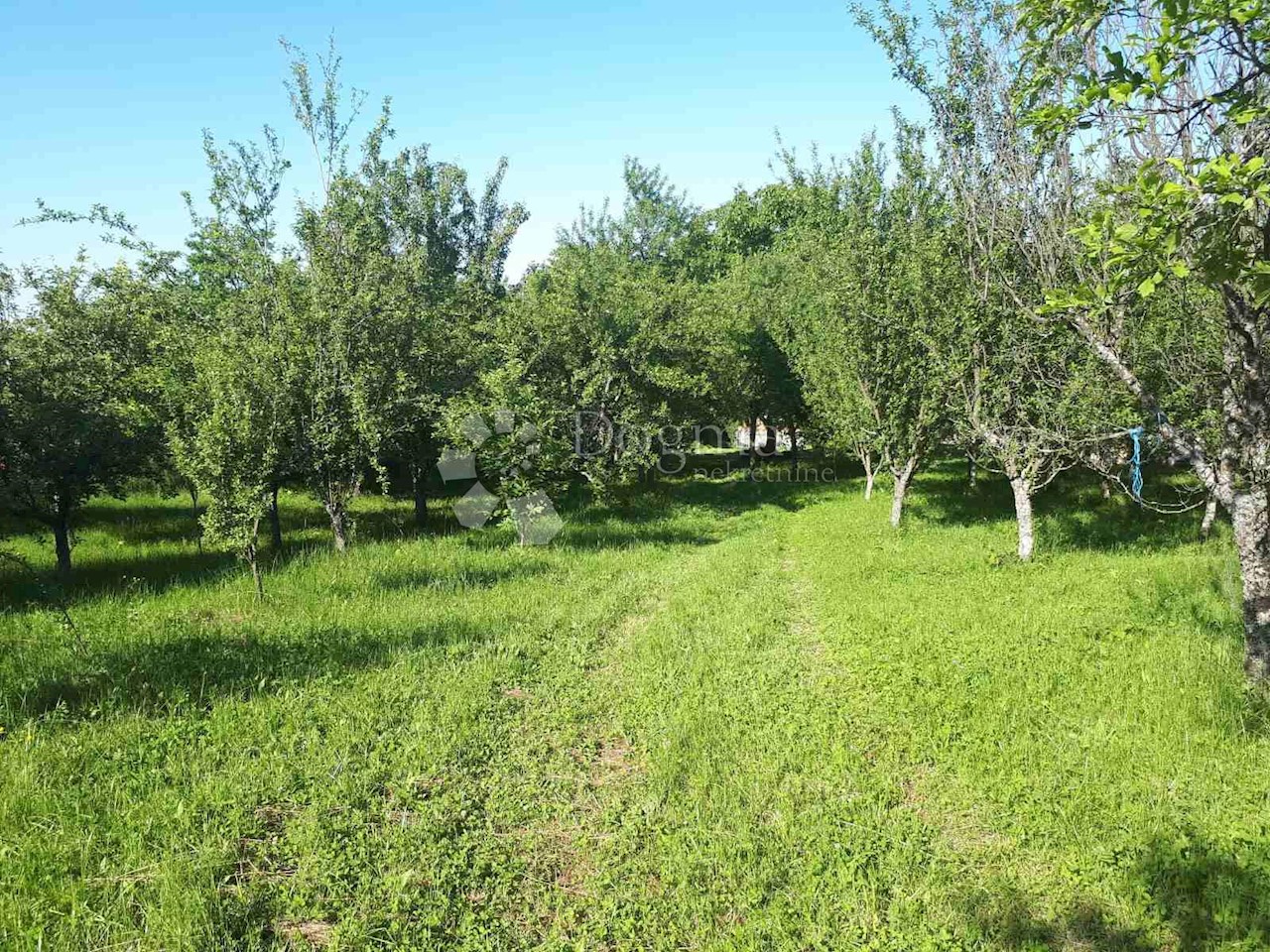 Dom Na predaj - OSJEČKO-BARANJSKA  NAŠICE 