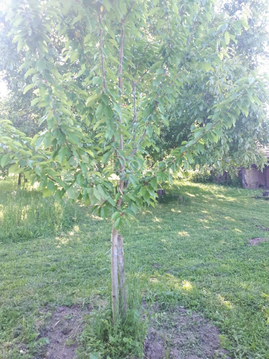 Hiša Naprodaj - OSJEČKO-BARANJSKA  Našice