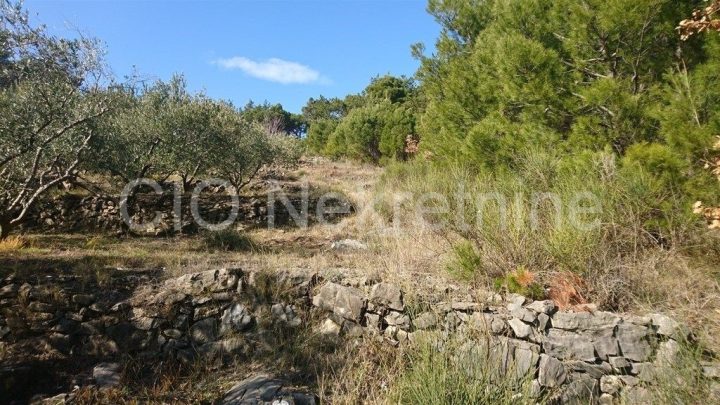 Grundstück Zu verkaufen - Splitsko-dalmatinska Omiš - foto 4/6