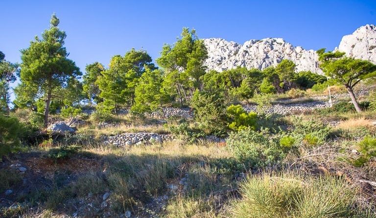 Grundstück Zu verkaufen - SPLITSKO-DALMATINSKA  OMIŠ 