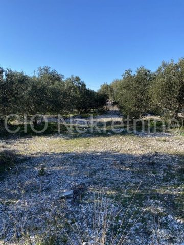 Pozemok na predaj 3000 m² – Vrsine