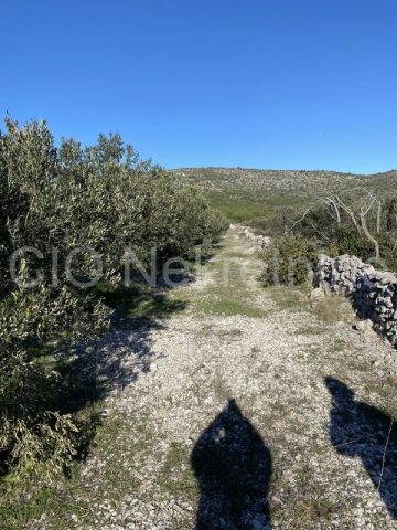 Terreno In vendita - Splitsko-dalmatinska Marina - foto 5/5