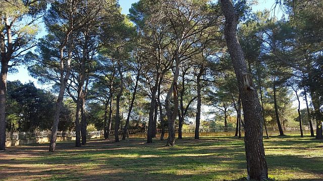 Zemljište Na prodaju - ISTARSKA  ROVINJ 