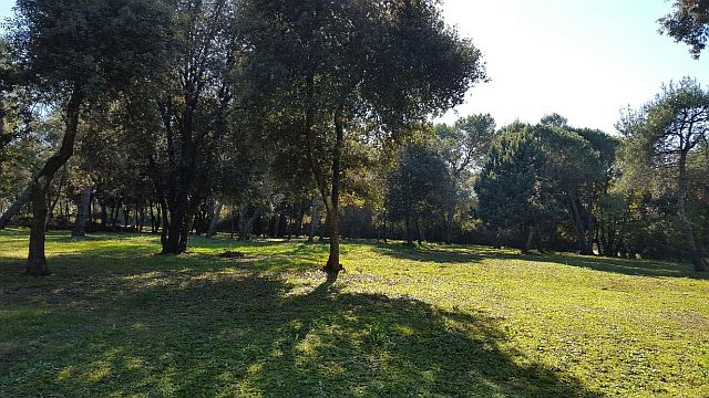 Zemljište Na prodaju - ISTARSKA  ROVINJ 