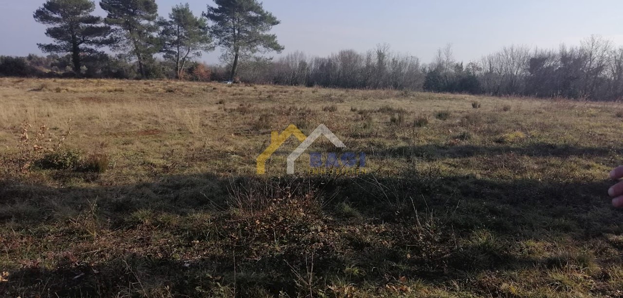 Land For sale - ISTARSKA  LIŽNJAN 