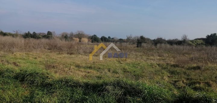 Land for sale 4862 m² – Šišan