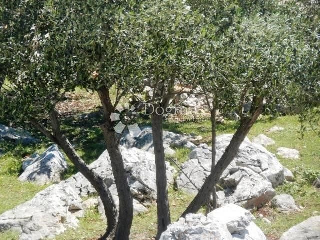Działka Na sprzedaż - Primorsko-goranska Krk - foto 4/4