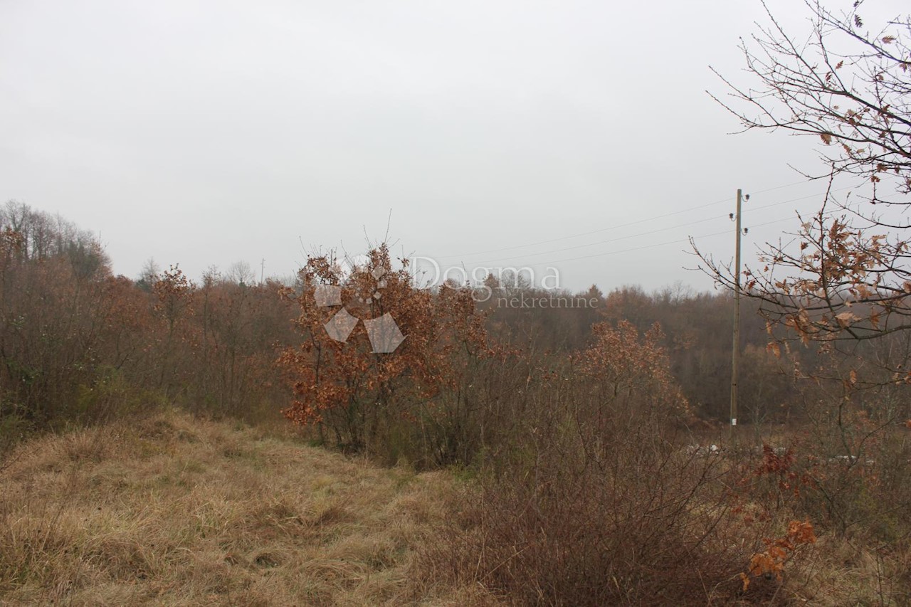 Land For sale - ISTARSKA  Svetvinčenat