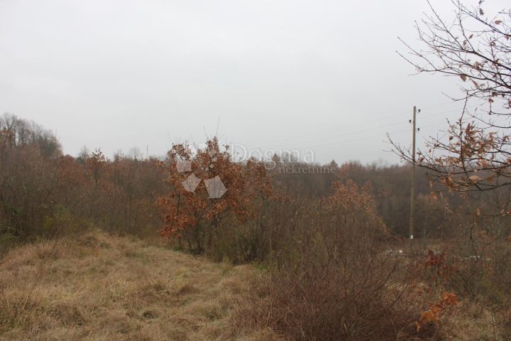 Land For sale - Istarska Svetvinčenat - foto 3/3