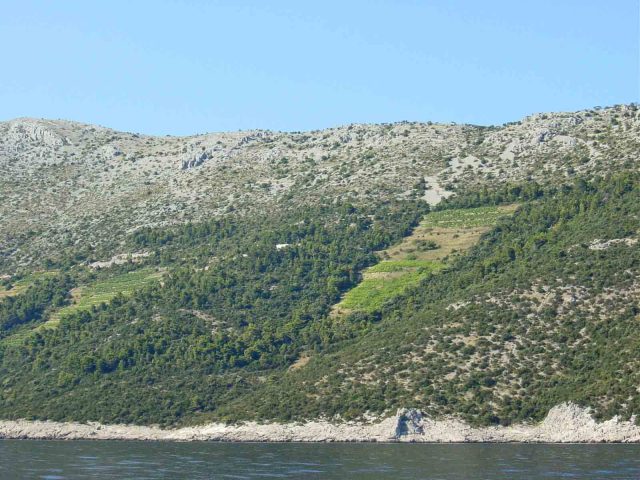 Parcela Naprodaj - Dubrovačko-neretvanska Orebić - foto 3/20