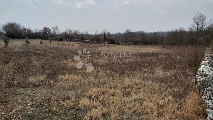 Land For sale - Istarska žminj - foto 4/8