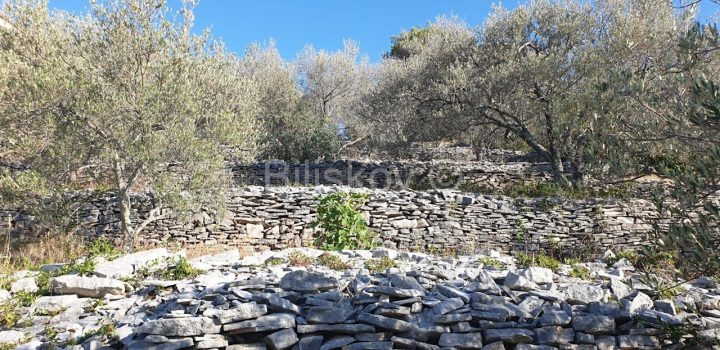 Land For sale - Dubrovačko-neretvanska Korčula - foto 4/11
