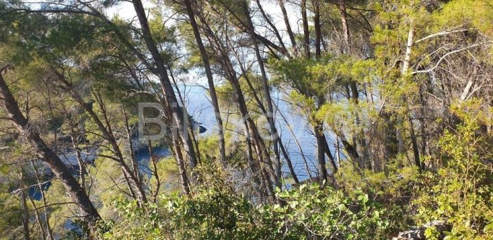 Land For sale - Dubrovačko-neretvanska Korčula - foto 5/11