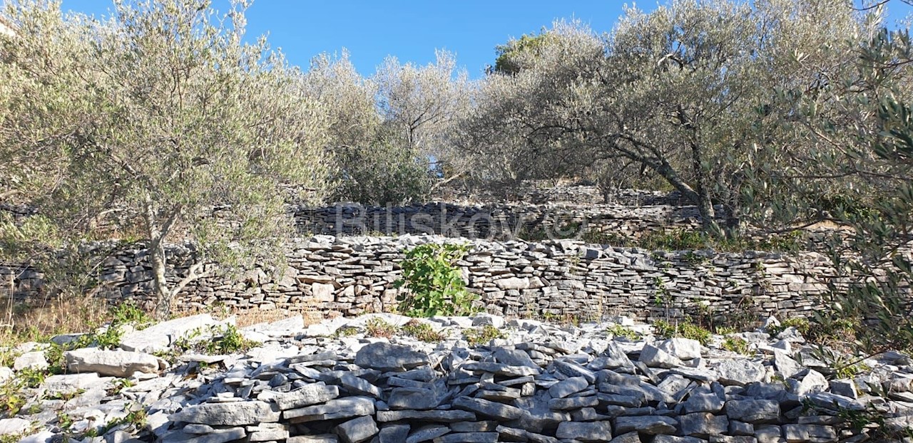 Pozemek Na prodej - DUBROVAČKO-NERETVANSKA  KORČULA 