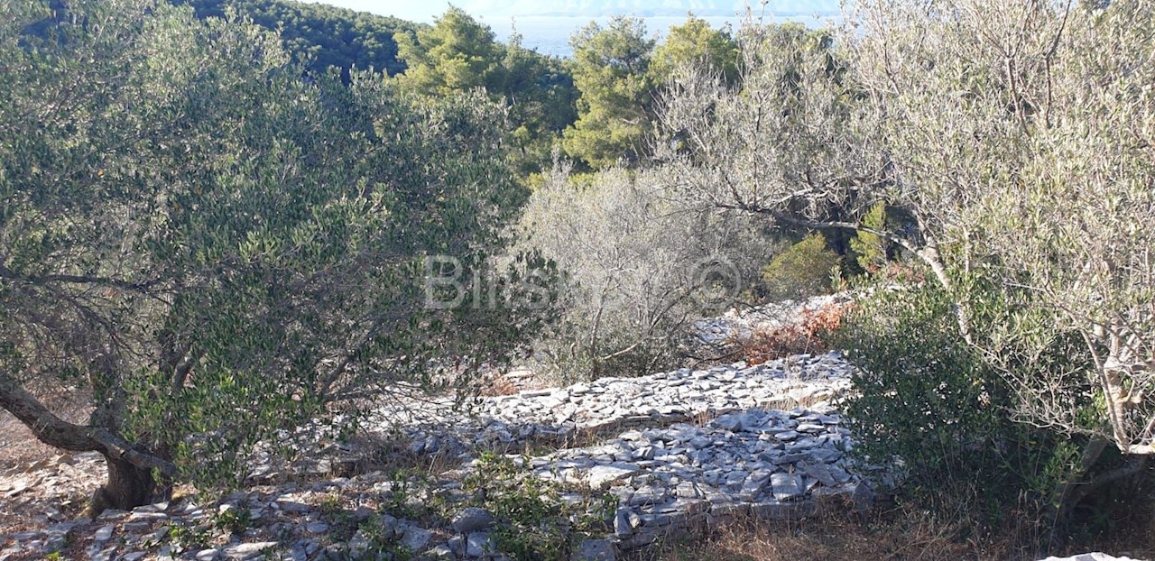 Pozemek Na prodej - DUBROVAČKO-NERETVANSKA  KORČULA 