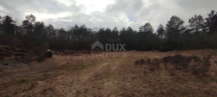 Land for sale 19000 m² – Klana